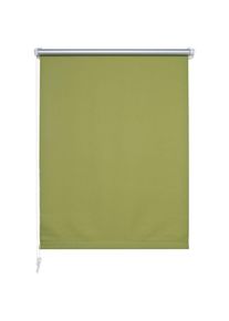 Seitenzugrollo verdunkelnd energiesparend ohne Bohren , grün , Liedeco , Obermaterial: 100% Polyester