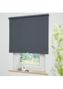 Springrollo &raquo;Uni&laquo; verdunkelnd Perlreflex-beschichtet mit Bohren freih&auml;ngend Rollo Hergestellt in Deutschland , grau , Liedeco , Obermaterial: 95%...