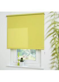 Seitenzugrollo &raquo;Uni&laquo; Lichtschutz mit Bohren freih&auml;ngend Welle 36 mm stabiler Kettenzug , gr&uuml;n , Liedeco , Obermaterial: 95% Polyester, 4% Metall,...