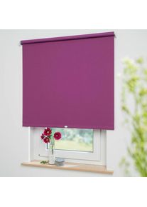 Springrollo &raquo;Uni&laquo; verdunkelnd mit Bohren freih&auml;ngend Rollowelle 36 mm, starke Feder , lila , Liedeco , Obermaterial: 95% Polyester, 4% Metall, 1%...