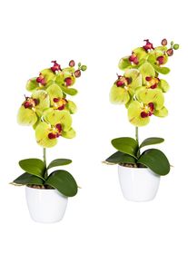 Kunstpflanze »Orchidee Phalaenopsis«, im Keramiktopf , grün , Creativ green