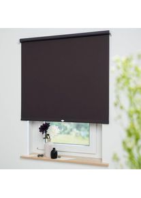 Springrollo &raquo;Uni&laquo; verdunkelnd freih&auml;ngend Verdunkelung , braun , Liedeco , Obermaterial: 95% Polyester, 5% Metall