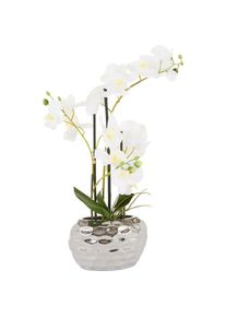 Kunstpflanze »Orchidee« Kunstorchidee, im Topf, Bestseller, über 2500 4,5-Sterne-Bewertungen , bunt , Leonique