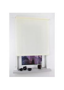 Seitenzugrollo &raquo;Easy&laquo; Lichtschutz Perlreflex-beschichtet freih&auml;ngend Seitenzugrollo Easy , beige , Liedeco , Obermaterial: 100% Polyester