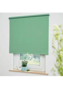 Springrollo »Uni« verdunkelnd mit Bohren freihängend Rollowelle 36 mm, starke Feder , grün , Liedeco , Obermaterial: 95% Polyester, 4% Metall, 1%...