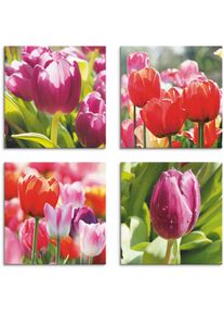 Leinwandbild »Frühling und Tulpen«, Blumen, (4 St.), 4er Set, verschiedene Grössen , pink , Artland