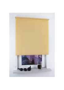 Seitenzugrollo »Easy«, Lichtschutz, Perlreflex-beschichtet, freihängend, Seitenzugrollo Easy , rot , Liedeco
