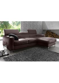 Ecksofa »Sammy L-Form« mit Kopfteilverstellung, wahlweise mit Bettfunktion , braun , COTTA