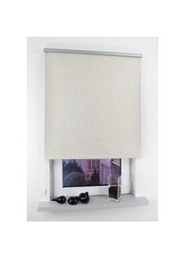 Seitenzugrollo »Easy« verdunkelnd Perlreflex-beschichtet freihängend Seitenzugrollo Easy , silberfarben , Liedeco , Obermaterial: 100% Polyester