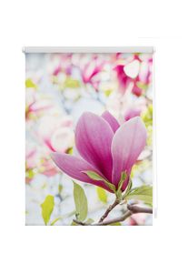 Seitenzugrollo »Klemmfix Motiv Magnolie« Lichtschutz ohne Bohren freihängend bedruckt , rosa , LICHTBLICK ORIGINAL , Obermaterial: 100% Polyester