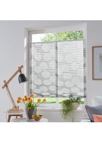 Plissee »BELUM« Lichtschutz ohne Bohren verspannt im Fixmass, Ausbrenner, Kreise, Blumen, Klemmträger , grau , my home , Obermaterial: 70%...