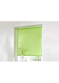 Seitenzugrollo »Thermo Klemmfix-Rollo« verdunkelnd energiesparend ohne Bohren 1 Stück , grün , K-home , Obermaterial: 100% Polyester