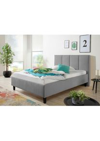 Polsterbett inklusive Bettkasten , grau , Maintal