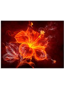 Glasbild »Feuerblume«, Blumen, (1 St.), in verschiedenen Grössen , rot , Artland