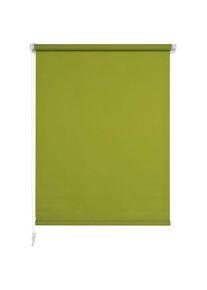 Seitenzugrollo »Klemmfix« Lichtschutz ohne Bohren inkl. Klemmträger , grün , Liedeco , Obermaterial: 100% Polyester