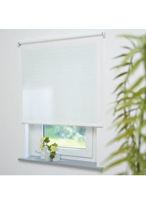 Liedeco Springrollo &raquo;Springrollo, mit Dekor, lichtdurchl&auml;ssig, Faden weiss, &laquo; Lichtschutz Perlreflex-beschichtet ohne Bohren freih&auml;ngend Dekorrollo...