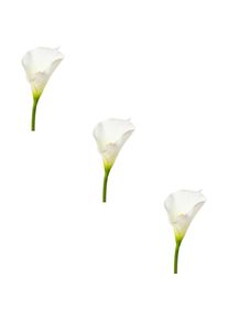 Kunstblume »Calla« , weiss , Creativ green , Obermaterial: 100% Polyethylen