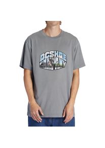 DC Shoes , T-Shirt »Citywide« , grau , Stoff: Jersey-Stoff aus Baumwolle [200 g/m2]