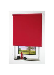 Seitenzugrollo »Uni« verdunkelnd energiesparend mit Bohren , rot , Liedeco , Obermaterial: 100% Polyester