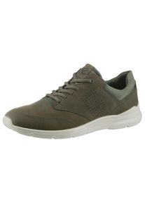 Ecco , Sneaker »IRVING«, mit weisser Laufsohle, Freizeitschuh, Halbschuh, Schnürschuh , braun , Mit dezenter Perforation an der Seite