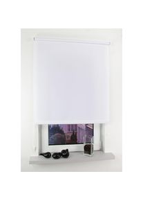 Seitenzugrollo »Easy«, Lichtschutz, Perlreflex-beschichtet, freihängend, Seitenzugrollo Easy , weiss , Liedeco