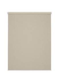 Gardinia Seitenzugrollo &raquo;Comfort Move Rollo&laquo; Lichtschutz Sichtschutz mit Bohren/ohne Bohren freih&auml;ngend regulierbare Aufrollgeschwindigkeit , grau ,...