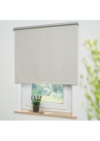 Springrollo &raquo;Thermo-Rollo&laquo; verdunkelnd energiesparend freih&auml;ngend Thermo-Rollo Hergestellt in Deutschland , beige , Liedeco , Obermaterial: 95%...