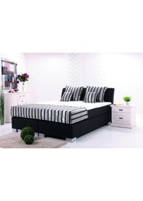 BRECKLE LEDERCOLLECTION Boxspringbett EUROPA