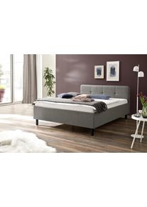 Meise M&ouml;bel Polsterbett AMADO