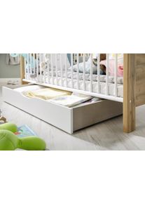 Rauch Rollbettkasten NEPAL