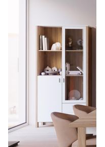 FORTE Meuble vitrine RAPLA