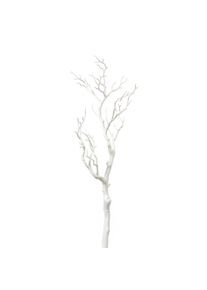 Gasper Branche d&eacute;corative BERND