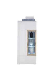 Stand- H&auml;ngevitrine inkl. Beleuchtung BR&Uuml;NN