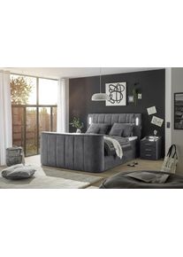 Lit boxspring DALLAS 6
