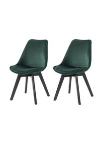 Salesfever Lot de 2 chaises PAYAKUMBUH