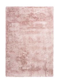 Kayoom Tapis TENDER 125