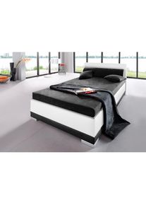 Polsterbett Kunstleder, in 6 verschiedenen Ausführungen, Made in Germany , schwarz-weiss , Maintal