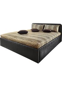 Polsterbett inkl. Bettkasten bei Ausführung mit Matratze , schwarz , Westfalia Schlafkomfort