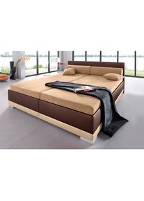 Polsterbett Kunstleder, in 6 verschiedenen Ausführungen, Made in Germany , braun , Maintal