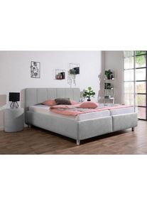 Maintal, Polsterbett &raquo;Wiesenblick, in Samt &Struktur erh&auml;ltlich&laquo; mit Bettkasten, wahlweise in H2,H3 oder H4, grau