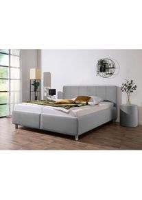 Maintal, Polsterbett &raquo;Wiesenblick, in Samt &Struktur erh&auml;ltlich&laquo; mit Bettkasten, wahlweise in H2,H3 oder H4, silber