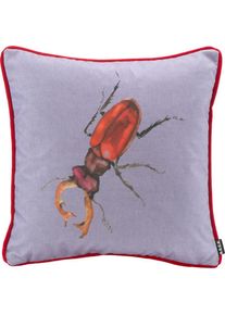 HOCK Dekokissen »Hirschkäfer« changierender Samt, Kissenhülle mit Füllung, 1 Stück , bunt , H.O.C.K. , Kissen: 100% Polyester. Füllung: 100% Daunen
