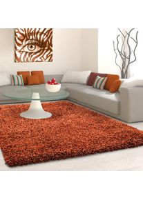 Ayyildiz Teppiche, Hochflor-Teppich &raquo;Life Shaggy 1500&laquo; rechteckig 30 mm H&ouml;he Langflor, uni, grosse Farbauswahl, robust, auch als L&auml;ufer und in rund, 