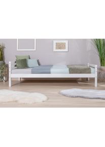 Jugendbett, Futonbett in diversen Breiten, Kiefer, mit Rollrost , weiss , Ticaa