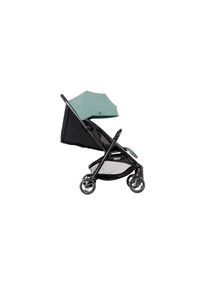 Ackerman Kinder-Buggy»GracoMyavoMint«22kg , grün