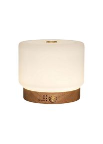 Ackerman Diffuser»AromalifeLisalia« , beige