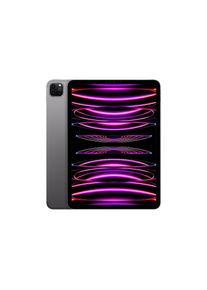 Apple , iPad Pro 4. Gen. (2022) M2, 11 Zoll, Space Grau , grau