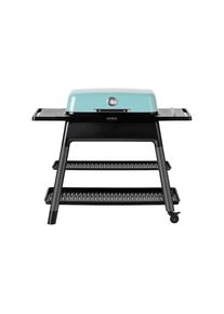Ackerman Gasgrill»EverdureFURNACEmintmitDoppelboden« , grün
