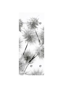 Garderobenleiste »Blüte«, mit 6 Haken, 50 x 120 cm , grau , queence