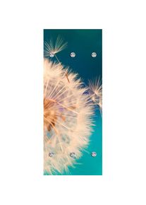 Garderobenleiste »Pusteblume in gross«, mit 6 Haken, 50 x 120 cm , blau , queence